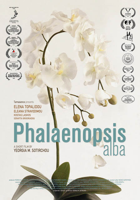 Phalaenopsis Alba-POSTER-04