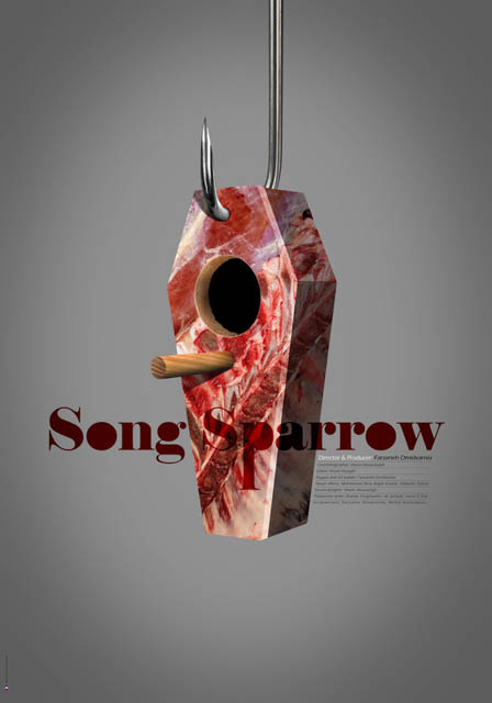 Song Sparrow-POSTER44