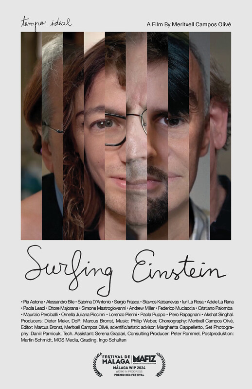 Surfing Einstein poster