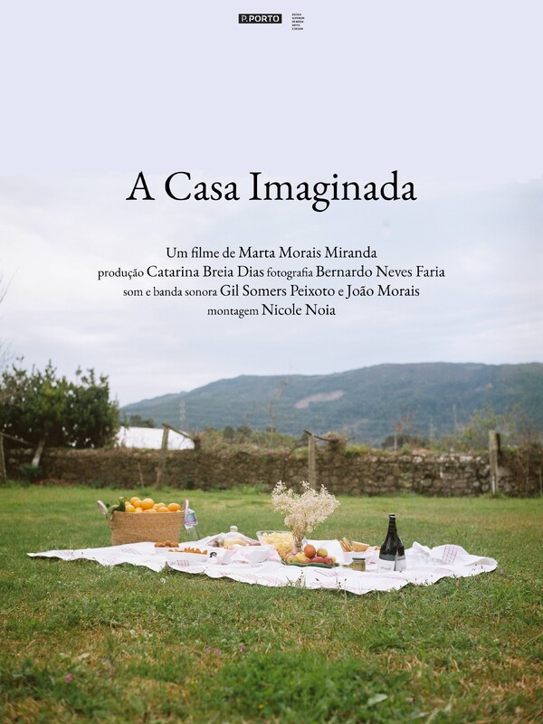 The House Imagined poster